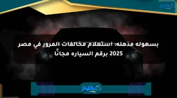 بسهولة مذهلة: استعلام مخالفات المرور في مصر 2025 برقم السيارة مجانًا